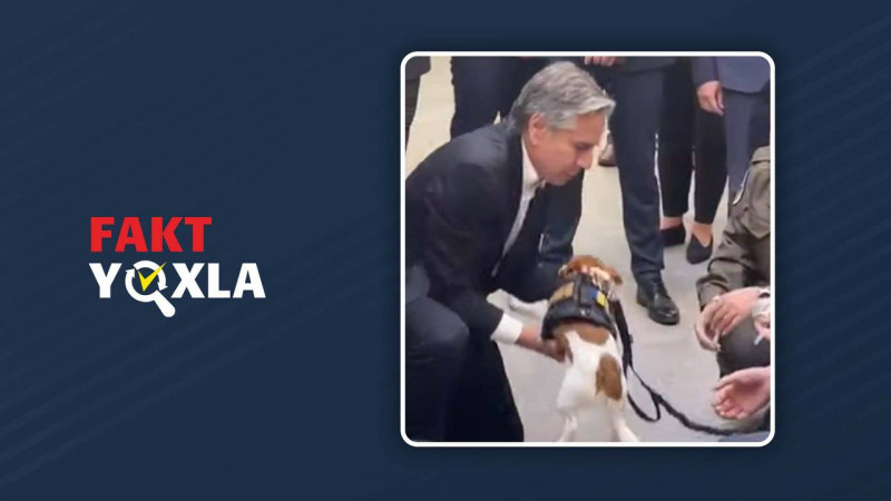 Blinkenin Kiyevdə "Patron" adlı itlə görüşdüyü video yeni deyil