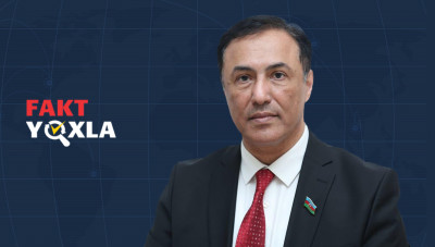 Elman Nəsirovun yanlış iddiası: Azərbaycanda 80 faiz insan sosial şəbəkə istifadə edir