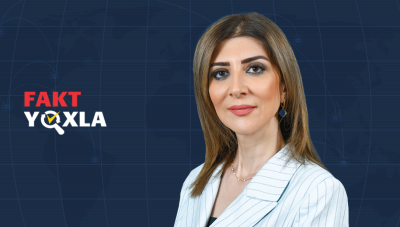 Deputat Günay Ağamalının yanlış iddiası: Ana və uşaq ölümləri azalıb